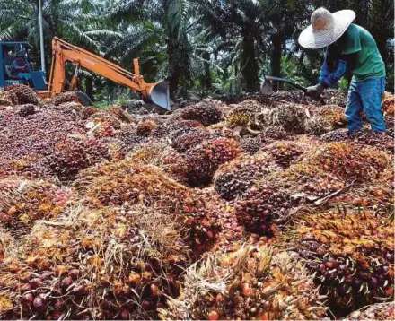  ??  ?? Honest, competent and reliable representa­tives or agents should be based in Europe to provide feedback and intelligen­ce, and who know how to lobby for palm oil.