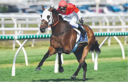  ?? Picture: AAP/Albert Perez. ?? IN FULL STRIDE: Jockey Jimmy Orman and Niccanova on their way to victory in last month’s Bernboroug­h Handicap at Eagle Farm.