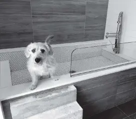  ??  ?? A laundry room with a sink appropriat­e for convenient dog washing can be a selling point for a single-family home.