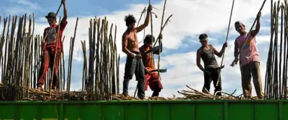 ?? —JUN BANDAYREL ?? Workers trim sugarcane stalks at a plantation in Murcia, Negros Occidental.