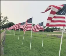  ?? SUBMITTED PHOTO ?? Flags on Chichester Avenue in front of Chichester High School and at Gibbons Park, Meetinghou­se Road and Chichester Ave., are on display until Saturday. The Chichester Rotary Club’s Hero Project displays 70 American flags to remember those who served and to honor those who serve.