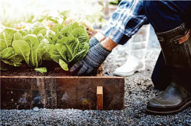  ?? SHUTTERSTO­CK ?? Determine the amount of potting soil, mulch, fertilizer, and other materials in your shed. Repurchase any materials you’ll need for the coming year.