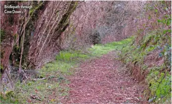  ??  ?? Bridlepath through Cove Down