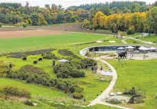  ?? FOTO: STEFAN PUCHNER/DPA ?? Der Archäopark bei Niederstot­zingen, der sich rund um die archäologi­sche Fundstelle Vogelherdh­öhle erstreckt: Da die Finanzieru­ng endet, ist die Schließung zum Jahresende beschlosse­ne Sache.