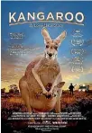  ?? PHOTOS: FAIRFAX ?? More kangroos are set to be killed by commercial hunters in New South Wales after the state government changed the rules on the cull. The decision coincides with the opening this month of a controvers­ial new movie called Kangaroo: A Love-Hate Story...