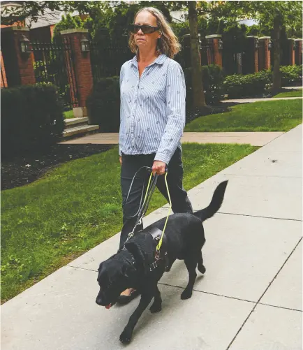  ?? ZEENYA SHAH FOR NATIONAL POST ?? Cindy Shone and Barney, who she was paired with through the CNIB Guide Dog program. “He’s a great
dog, super obedient, super willing to do anything,” she says. “He’s a joy to have.”