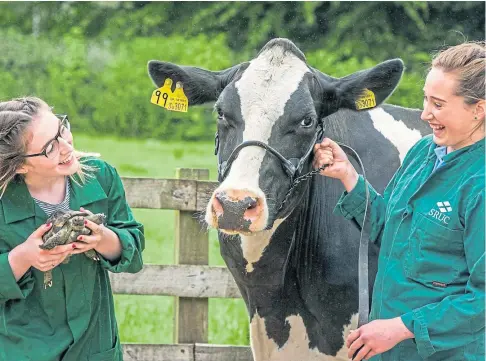  ?? ?? HUSBANDRY: Plans to create a new vet school in Scotland were broadly welcomed by the British Veterinary Associatio­n.