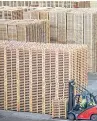  ??  ?? Top: Kevin McNeilly, managing director at Scott Pallets’ reconditio­ned business unit, with Kevin and Shaun McBride of Direct Pallets. Above: Part of Scott Timber’s operation in Fife.