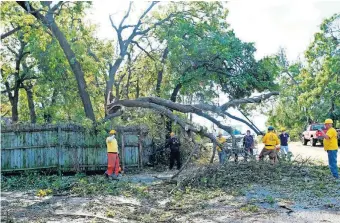  ?? [DOUG HOKE PHOTOS/ THE OKLAHOMAN] ?? Oklahoma Baptists Disaster Relief team members work on tree limb removal on Friday in Bethany.