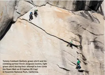  ??  ?? Tommy Caldwell (bottom, green shirt) and his climbing partner Kevin Jorgeson (centre, light green shirt) during their attempt to free climb the Dawn Wall on El Capitan (El Cap) in Yosemite National Park, California.