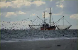  ?? ?? Above: Herring trawler