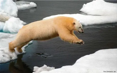  ?? Foto: Greenpeace, dpa ??