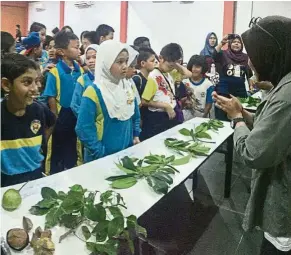  ?? Local students learning about the various species of plants found on Pangkor. ??