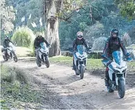  ??  ?? Enduro. Uno de los hábitat en los que sabe moverse.