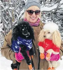  ?? ROSIE MULLALEY/THE TELEGRAM ?? Gail Courtney always keeps booties on her two 12-year-old poodles, Noah and Gracie, when they walk, to protect their paws from road salt.