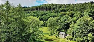  ?? ?? Fine pines: Pwll Pendre cottage is tucked away on Colonel Johnes’ estate