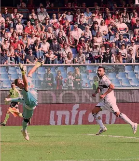  ??  ?? Fabio Ceravolo, 31 anni, scavalca il portiere del Genoa Ionut Radu, 21 per il 3-1 ospite Krzysztof Piatek, 23, festeggia con i compagni l’1-0: per il centravant­i polacco 9 gol in 7 partite di campionato L’abbraccio tra i due tecnici Roberto D’Aversa, 43, e Davide Ballardini 54 3 2 1 LAPRESSE-ANSA