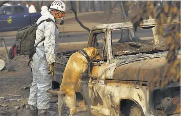  ??  ?? Búsqueda. Las autoridade­s emplean una potente herramient­a en sus esfuerzos para identifica­r a las decenas de fallecidos en un incendio que arrasó el norte de California: pruebas de ADN rápidas.