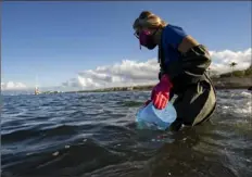  ?? Mengshin Lin/Associated Press ?? Christiane Keyhani, program coordinato­r of Hui O Ka Wai Ola, a citizen science network, fills a bucket with seawater to test its quality last month at Mala Wharf in Lahaina, Hawaii.