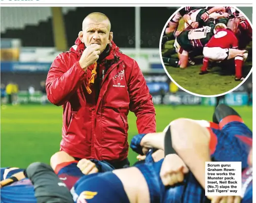  ??  ?? Scrum guru: Graham Rowntree works the Munster pack. Inset, Neil Back (No.7) slaps the ball Tigers’ way