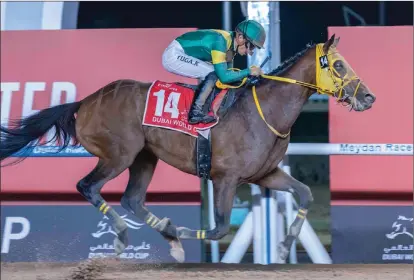  ?? Picture: Dubai Racing Club. ?? CREDENTIAL­S: Ushba Tesoro, pictured winning last year’s race, will be aiming for a second success Grade 1 Dubai World Cup victory at Meydan on Saturday.