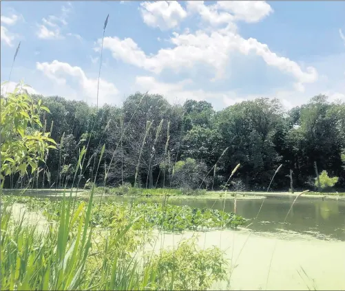  ?? GABIS ARBORETUM AT PURDUE NORTHWEST ?? Ecologist Joseph Eisinger will virtually present “The Lost Landscapes of Indiana: Prairies and Wetlands of the Hoosier State’s Past and Present” on Jan. 16.