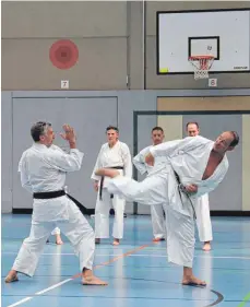  ?? FOTO: JONAS SCHMITT ?? Frank Bareis (links) und Günter Mohr zeigen beim Sommercamp Karateverb­andes Baden-Württember­g in Ravensburg anderen Karateka ihre Techniken.