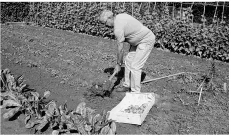  ??  ?? Le projet des jardins familiaux consiste à aménager un espace où des Saint-germanois pourront louer et cultiver une parcelle individuel­le (photo d’archives).