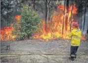  ??  ?? A fire service volunteer douses a fire during backburnin­g operations in bushland in New South Wales, Australia BLOOMBERG