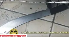  ?? ?? Félelmetes fegyver
Egy hatalmas bozótvágóv­al és késekkel is felfegyver­kezett a korábban is agresszíva­n viselkedő egyiptomi férfi