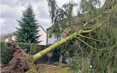  ?? NGZ-FOTO: WILP ?? Eine 14 Meter hohe Tanne wurde an der Dechant-Kann-Straße in Wevelingho­ven entwurzelt. Die mächtige Baum stürzte auf ein Hausdach.