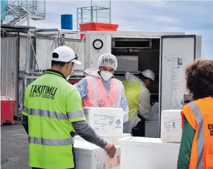  ?? Photo / Ian Cooper ?? A chiller truck loaded with fish was delivered to households in need across the region in April. The same initiative is being taken to deliver fish to South Auckland.