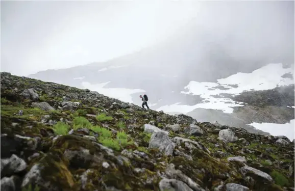  ??  ?? Anmarsj. Det er alltid noen høydemeter å tusle før klatringen begynner. Endre liker seg best over tregrensen.