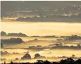  ??  ?? Mist in the South Downs National Park