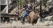  ?? JOHN AXTELL — NEVADA DEPARTMENT OF WILDLIFE VIA AP, FILE ?? In this Aug. 9, 2013 photo provided by the Nevada Department of Wildlife, Carl Lackey, a long-time Nevada Department of Wildlife biologist, and a dog named ``Rooster'' chase after a California black bear after it was captured and re-released to the wild on the Carson Range southwest of Carson City, Nevada.