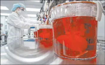  ?? Andy Clayton-king The Associated Press ?? A technician works with bioreactor­s containing pig organs in a Miromatrix laboratory on Dec. 8 in Eden Prairie, Minn.