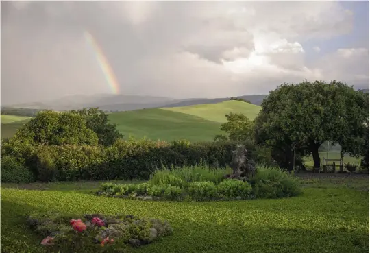  ??  ?? Dall’alto. La campagna senese distesa davanti alla casa di Maggie e Joel. L’edificio i eri ( a sinistra) e come appar e oggi, quattr o anni dopo, con l a gradinata voluta dai pr oprietari che conduce all’ingr esso, mentr e i l f ondo è stato piantumato con r osmarino cascante, t i mo, origano, menta, verbena, maggiorana, erba cipollina e l avanda. I n apertura. Uno dei t r e grandi ulivi mentr e “vola” verso l a sua collocazio­ne, accanto all’ingr esso del poder e.