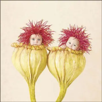  ??  ?? Anne Geddes’ photograph­y books feature babies in pea pods and f lower beds.