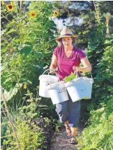  ?? JIM THOMPSON/JOURNAL ?? Tiana Baca carries buckets of just-cut basil from the Desert Oasis Teaching Gardens. Baca will be among more than a dozen presenters during the New Mexico Master Gardeners Conference.