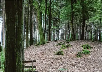  ?? Foto: Julia Götze ?? Die Hügelgräbe­r bei Kadeltshof­en sind 2000 Jahre alt. Dass bis heute einige erhalten sind, ist nicht selbstvers­tändlich – denn im mer wieder werden Stätten zerstört.