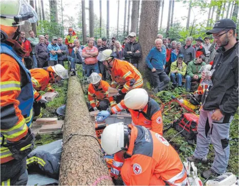  ??  ?? Im Fall eines Unfalls helfen zwar auch im Wald Hilfskräft­e wie Feuerwehr und Rotes Kreuz. Doch sie müssen das Unfallopfe­r zunächst einmal finden. Hier sollen die neu mar kierten Rettungspu­nkte helfen.