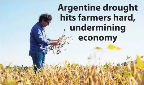  ?? AP ?? In this March 23, 2018 photo, Jorge Josifovich, a farmer and agricultur­al engineer who provides advice to growers, looks at drought-affected soy near Pergamino, Argentina.