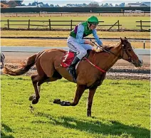  ?? PHOTO: MYTCHALL BRANSGROVE/FAIRFAX NZ ?? Three winners came for Shaun Fannin in the Kevin Myers colours at Washdyke on Friday.