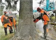  ?? Foto: Ondřej Bičiště, MAFRA ??