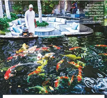 UAE doctor makes history as judge at koi fish contest - PressReader