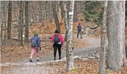  ?? CHARLES KRUPA/THE ASSOCIATED PRESS ?? Two hikers head up a trailhead of Great Blue Hill on Dec. 28 while one completes her hike from the summit at the Blue Hills Reservatio­n in Milton, Mass. First Day Hikes, which started in Massachuse­tts in 1992, have become a nationwide phenomenon. Thousands are expected to take part this year.