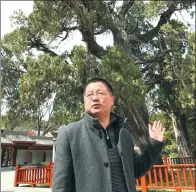  ?? HUO YAN / CHINA DAILY ?? Su Feng of the Yellow Emperor Cultural Studies Society with China’s oldest cypress tree in Huangling.