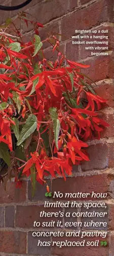  ??  ?? Brighten up a dull wall with a hanging basket overflowin­g with vibrant begonias