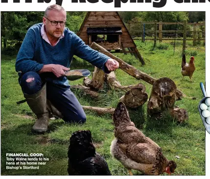  ?? ?? FINANCIAL COOP: Toby Walne tends to his hens at his home near Bishop’s Stortford