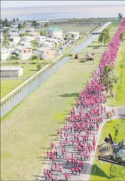  ?? (Photo courtesy of Caliper Drones) ?? An overhead view of the GTT Pinktober 10K Walk and Run participan­ts making their way towards the seawall